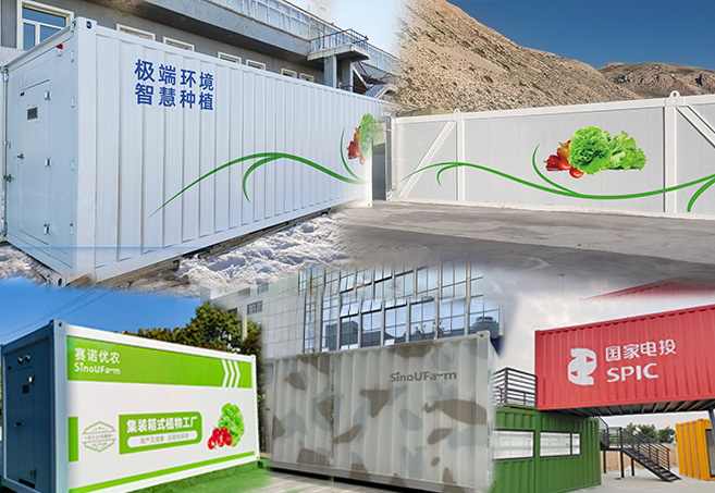 一篇看懂｜赛诺优农集装箱植物工厂