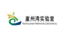合作伙伴