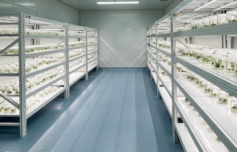 CB 植物组织培养室