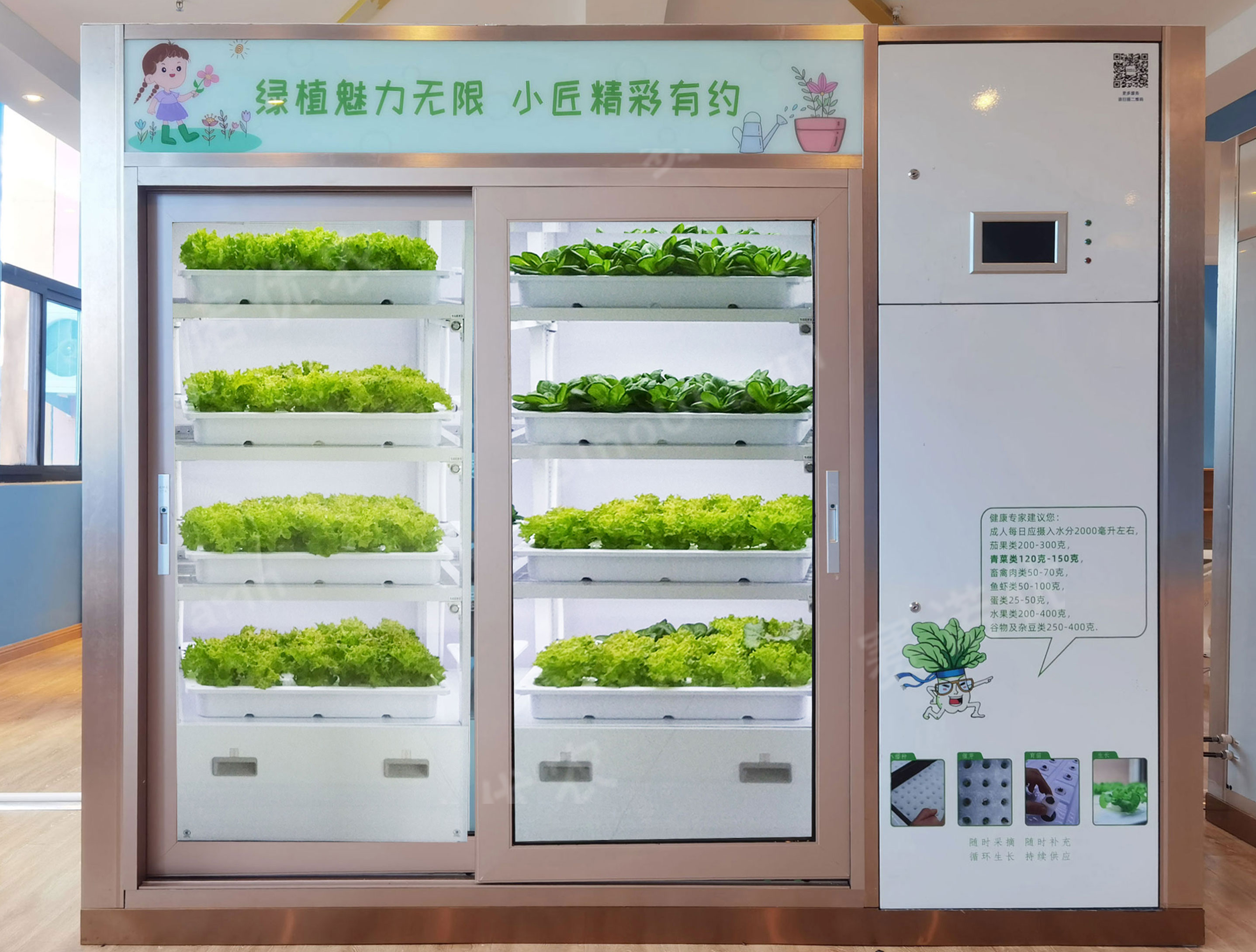 拉萨某小学
益教种植课堂