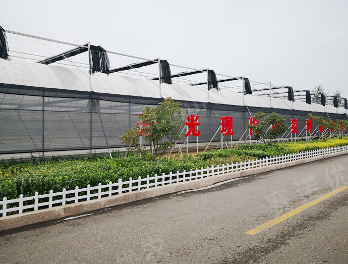 寿光农发
嫁接愈合室/育苗室