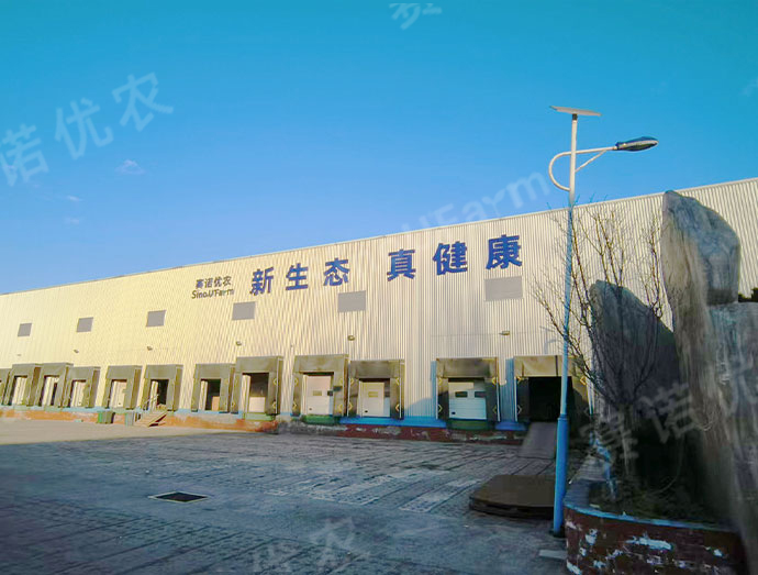 赛诺优农
全人工环境蔬菜工厂