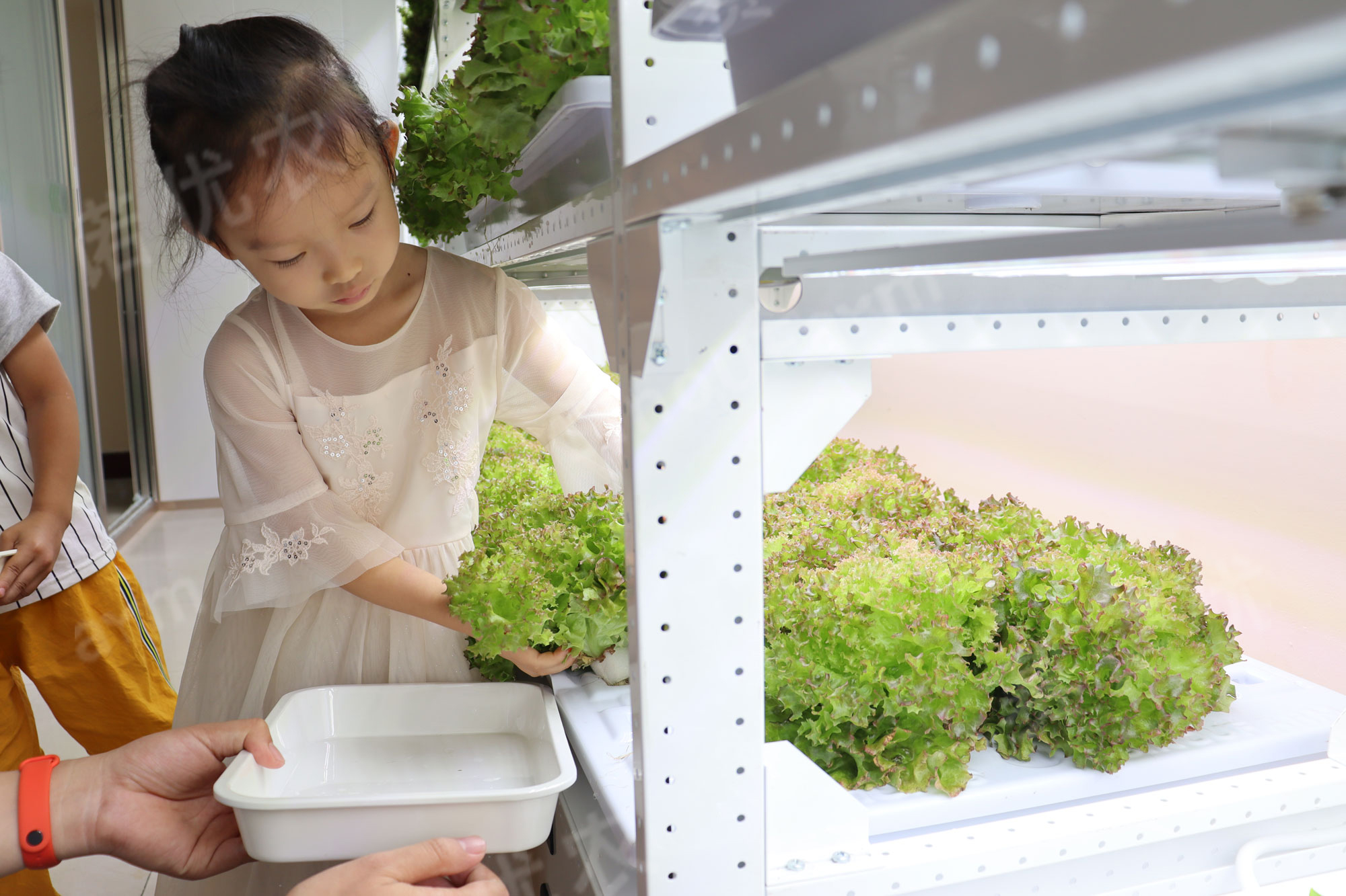黄委会幼儿园
益教种植课堂