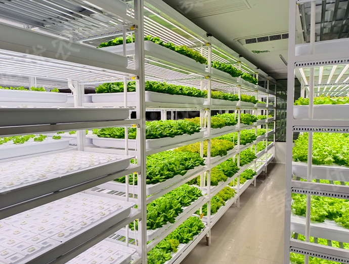 温州某海岛
定制型植物工厂