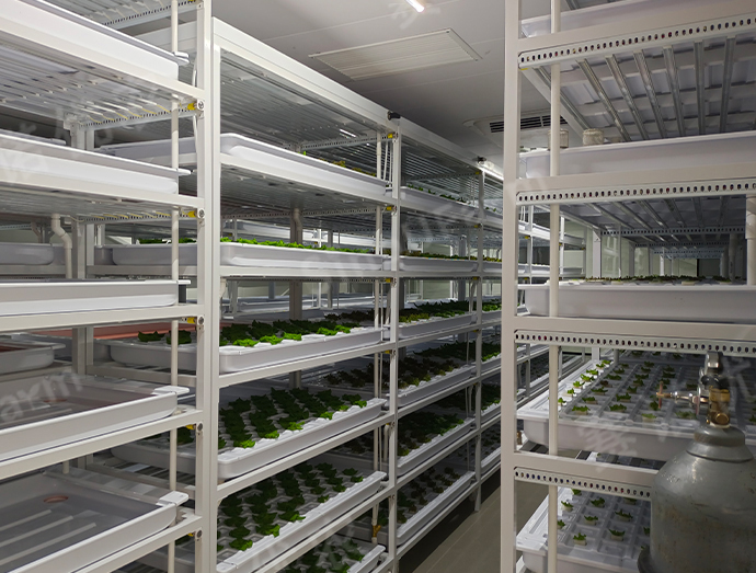 温州某海岛
定制型植物工厂