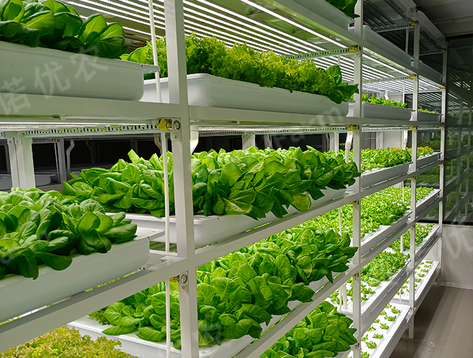 温州某海岛
定制型植物工厂