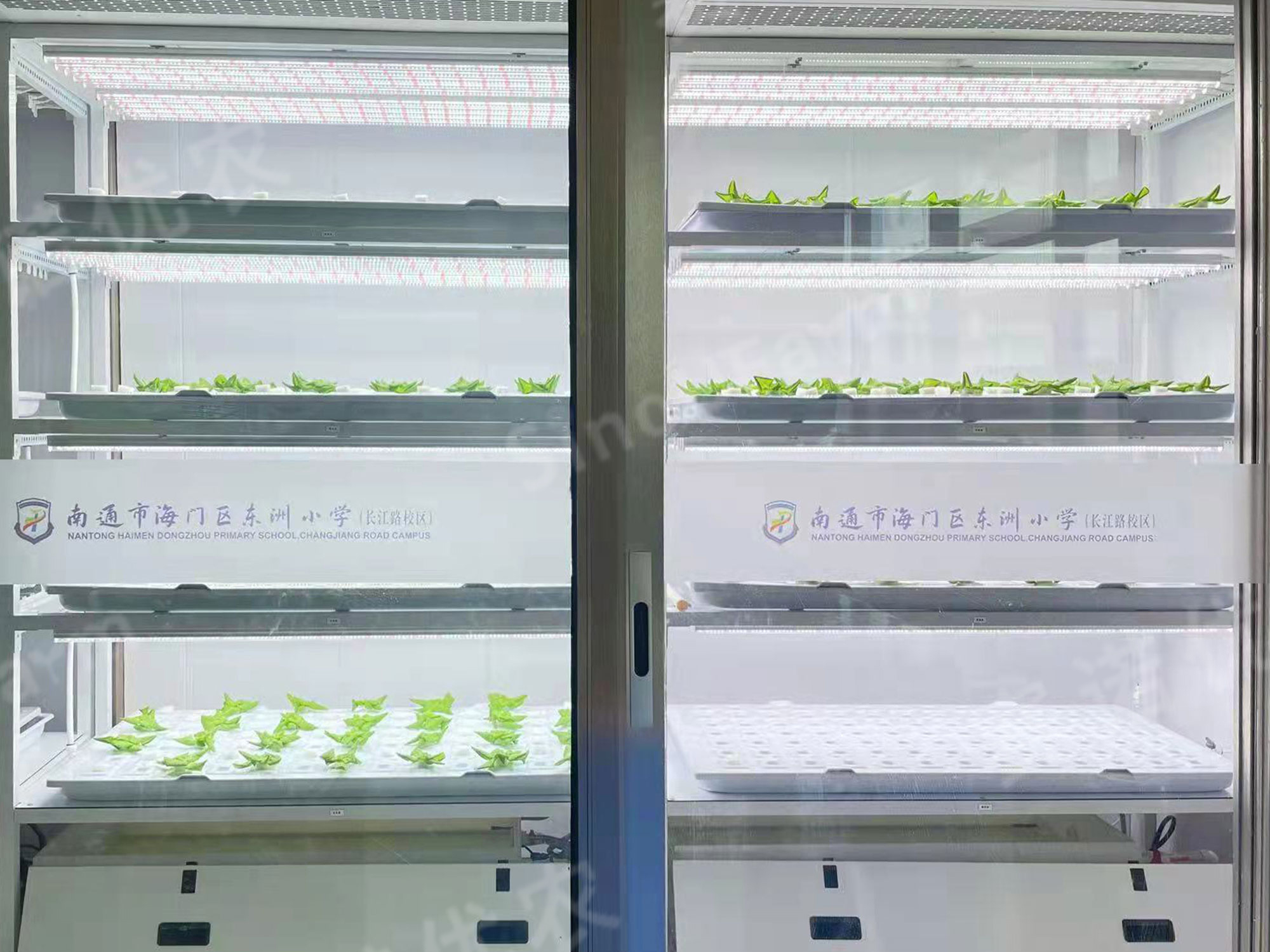 南通某小学
益教种植课堂