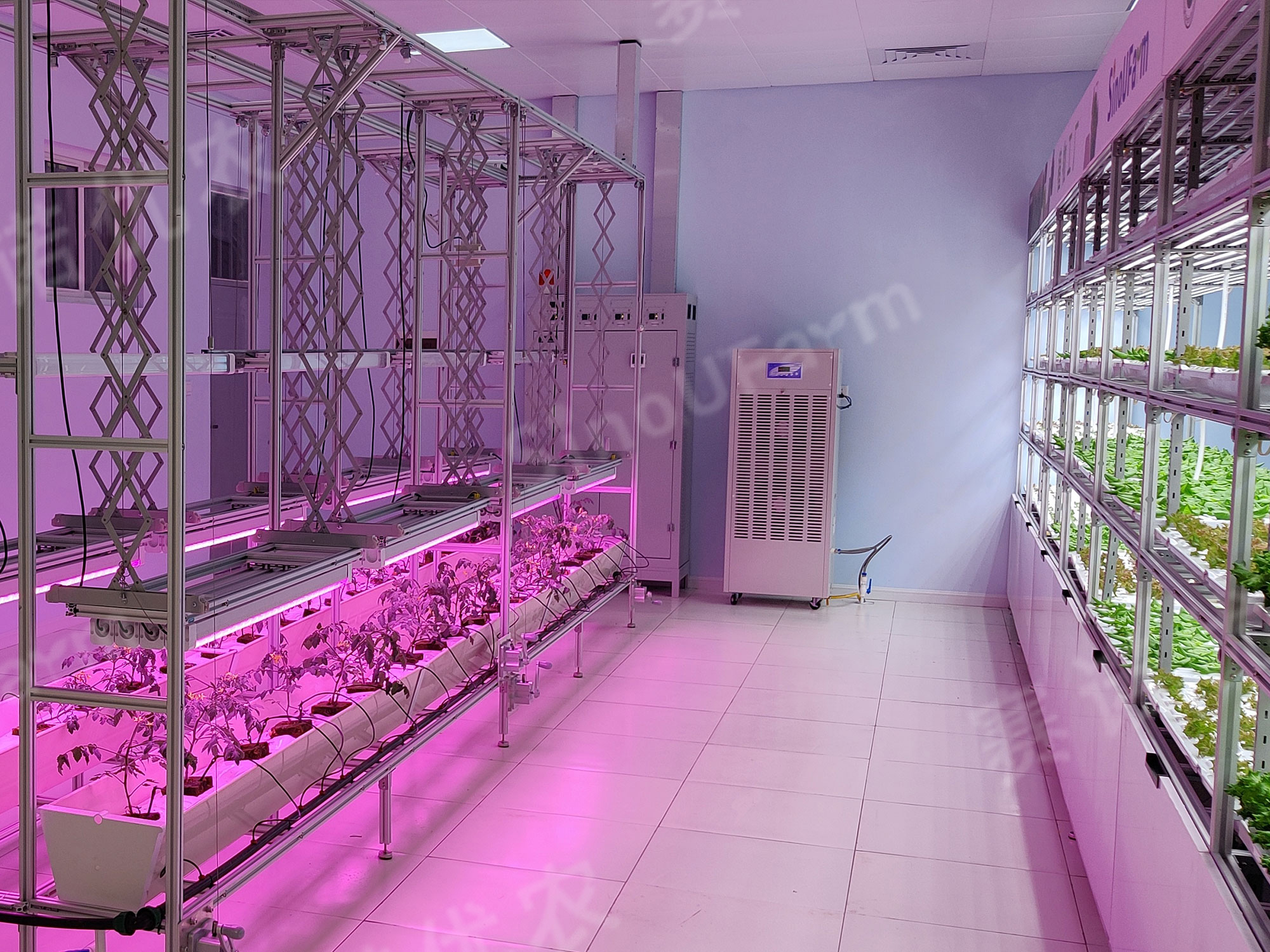 宁夏农业学校
全人工环境植物工厂