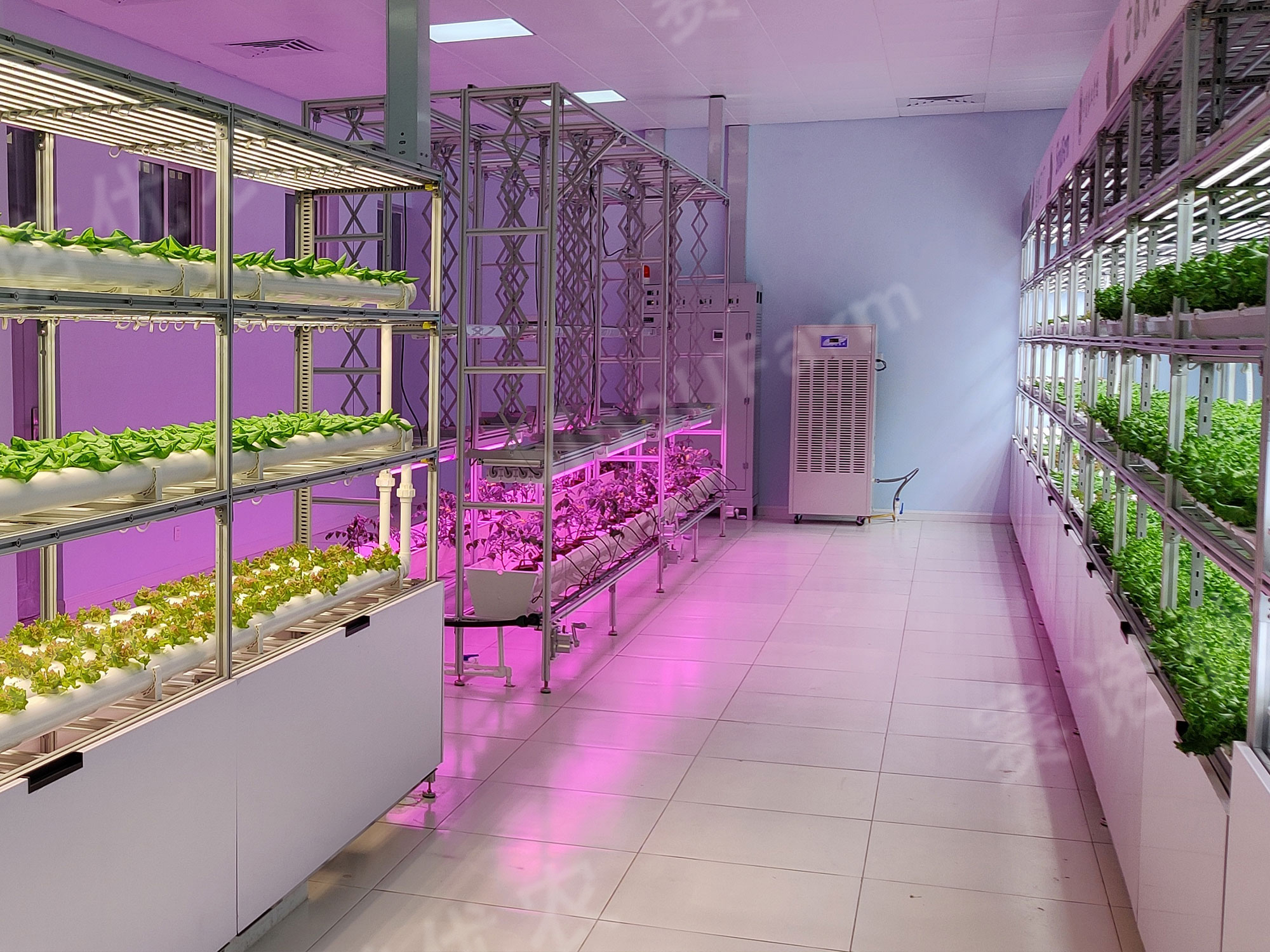 宁夏农业学校
全人工环境植物工厂