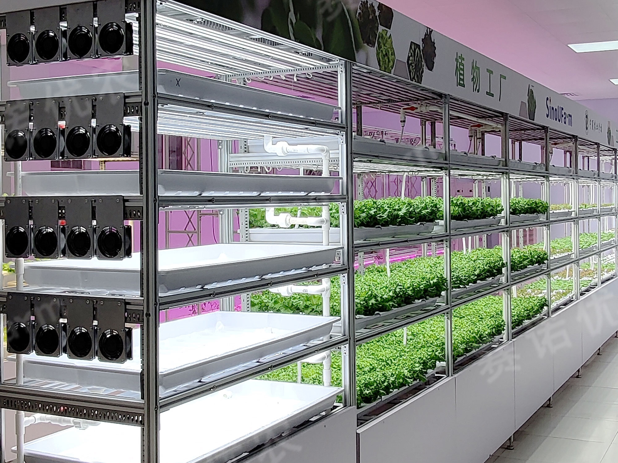 宁夏农业学校
全人工环境植物工厂