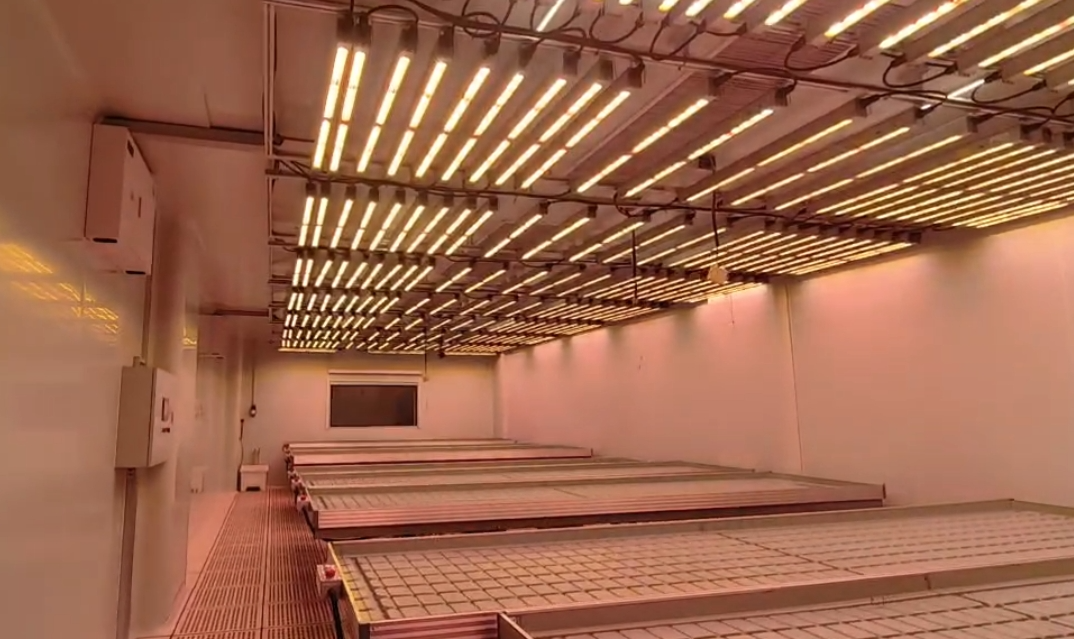 1769139000469193.png 640.png