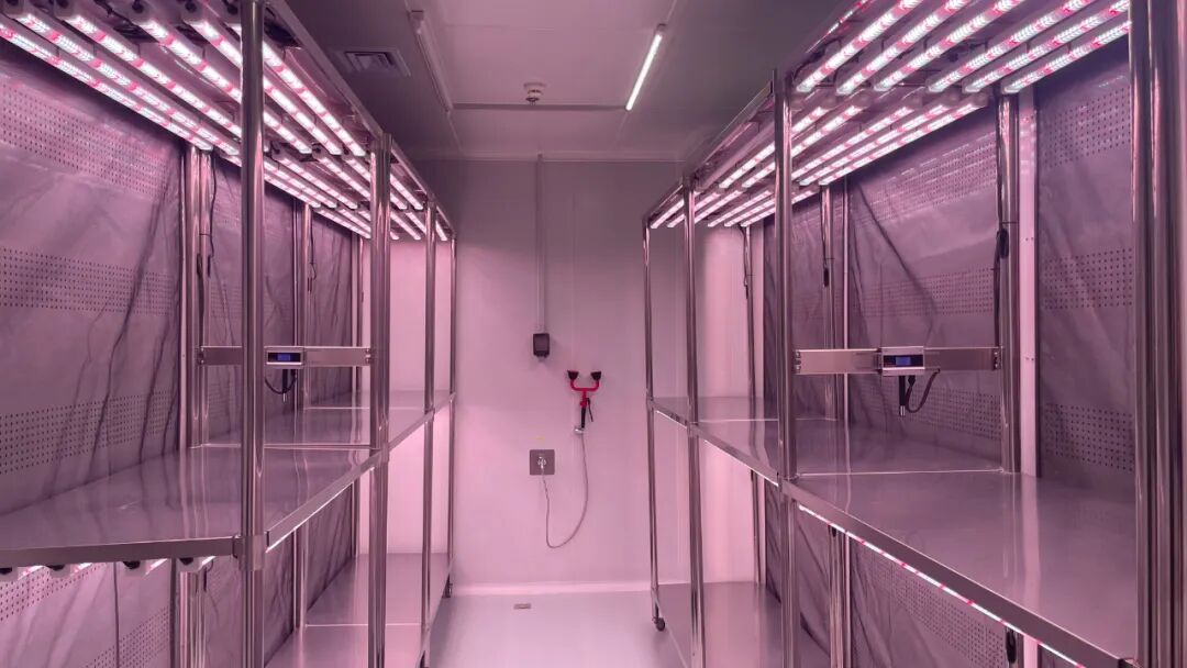 1769139010971110.jpeg 640.jpeg