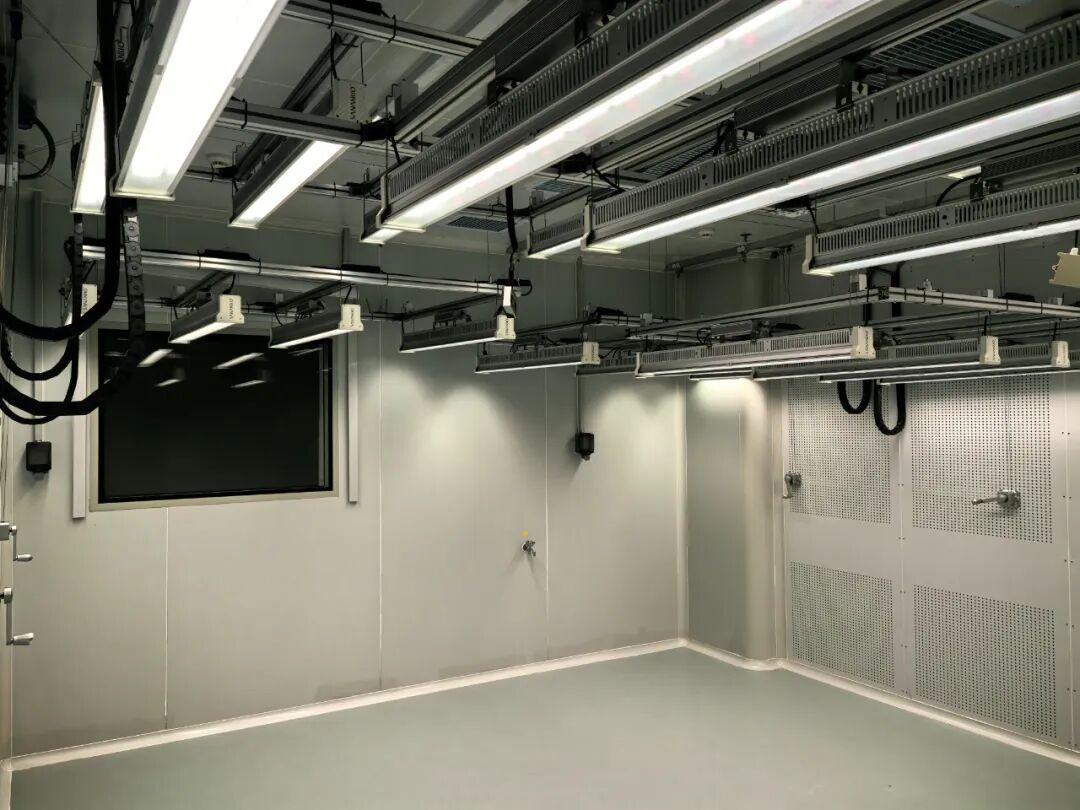 1769139018992123.jpeg 640-1.jpeg