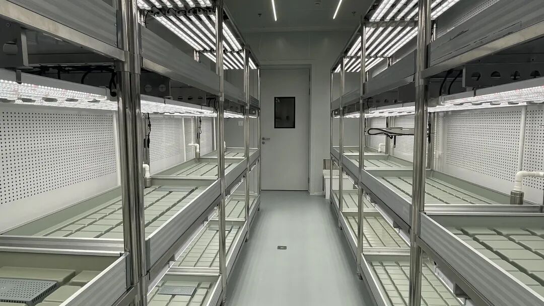 1769139031306757.jpeg 640-2.jpeg